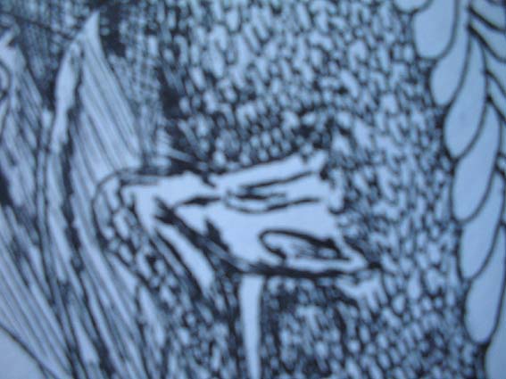 (c) Helena Sarfas 2006 Title:Time