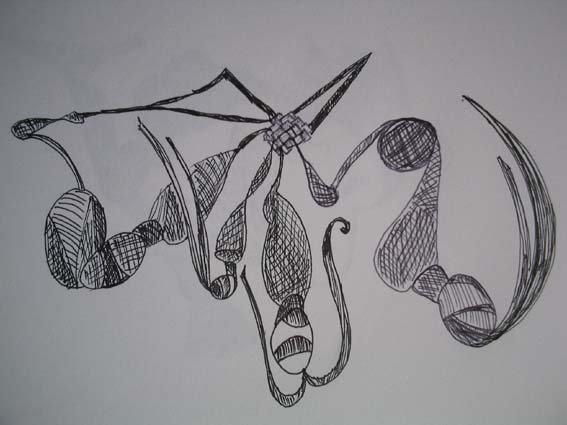 (c) Helena Sarfas 2006 Title:spun out