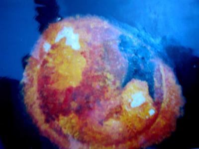 Nebular